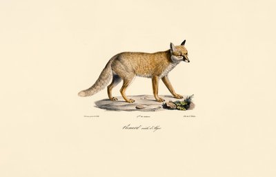  de Jacques Christophe Werner