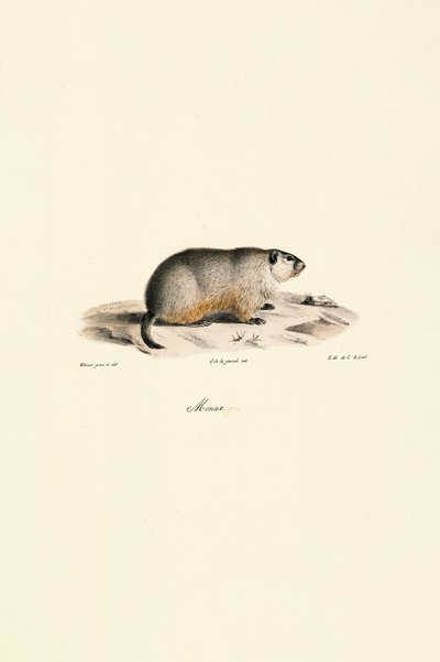  de Jacques Christophe Werner