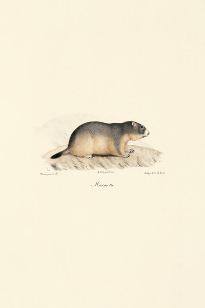  de Jacques Christophe Werner