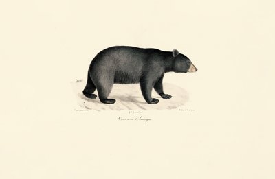  de Jacques Christophe Werner