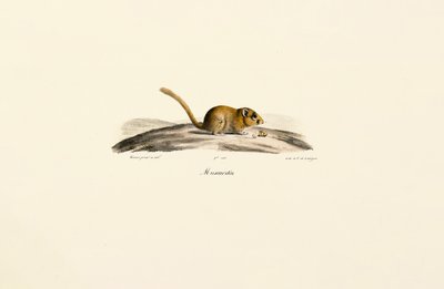  de Jacques Christophe Werner