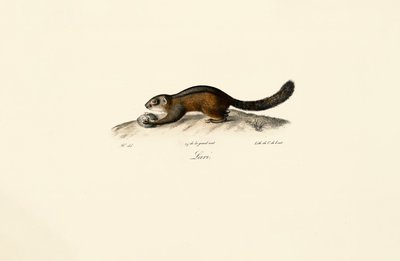  de Jacques Christophe Werner