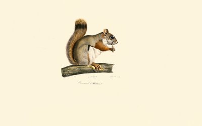  de Jacques Christophe Werner