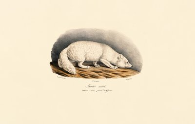  de Jacques Christophe Werner