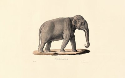  de Jacques Christophe Werner