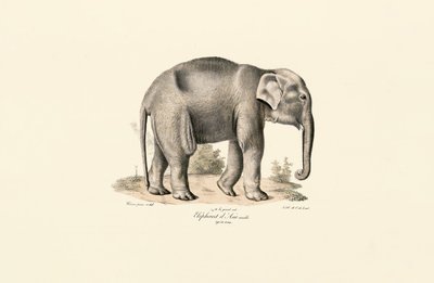  de Jacques Christophe Werner