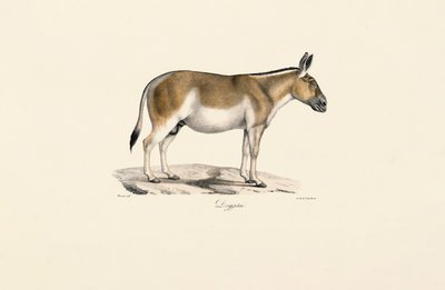  de Jacques Christophe Werner