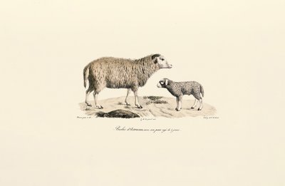  de Jacques Christophe Werner