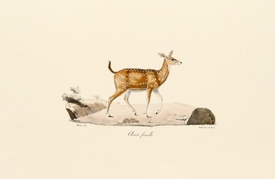  de Jacques Christophe Werner