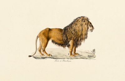  de Jacques Christophe Werner