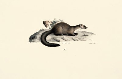  de Jacques Christophe Werner