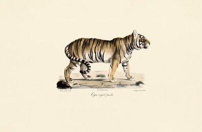  de Jacques Christophe Werner