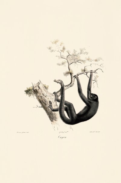  de Jacques Christophe Werner