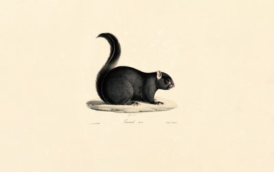  de Jacques Christophe Werner