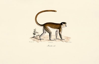  de Jacques Christophe Werner