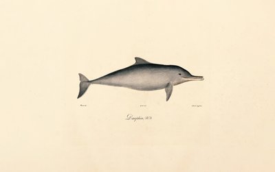  de Jacques Christophe Werner