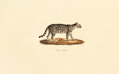  de Jacques Christophe Werner