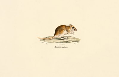  de Jacques Christophe Werner
