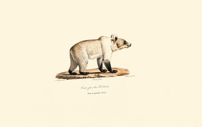 de Jacques Christophe Werner