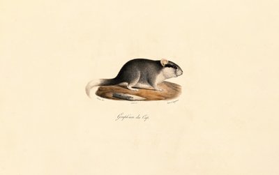  de Jacques Christophe Werner