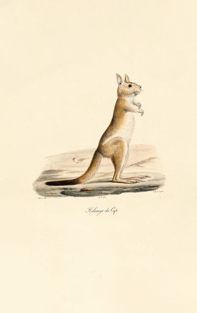  de Jacques Christophe Werner