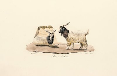  de Jacques Christophe Werner