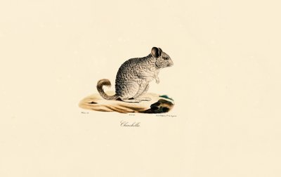  de Jacques Christophe Werner