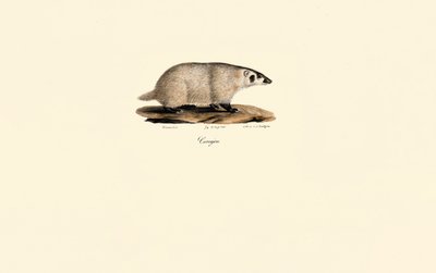  de Jacques Christophe Werner