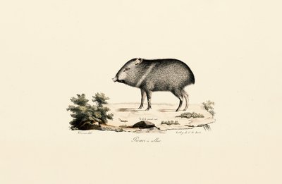  de Jacques Christophe Werner