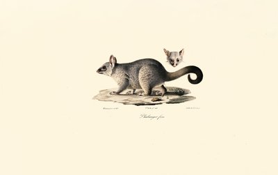  de Jacques Christophe Werner