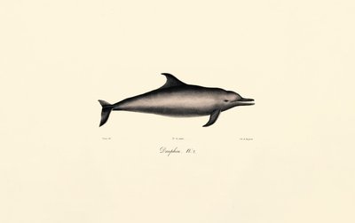  de Jacques Christophe Werner