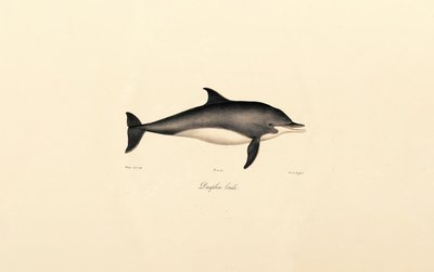  de Jacques Christophe Werner