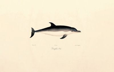  de Jacques Christophe Werner