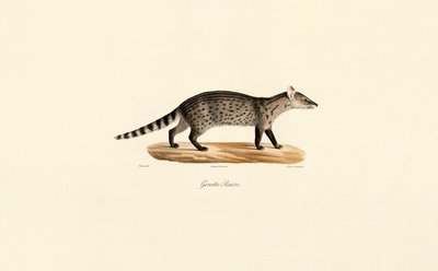  de Jacques Christophe Werner