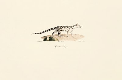  de Jacques Christophe Werner