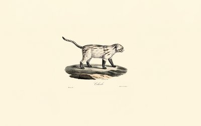  de Jacques Christophe Werner