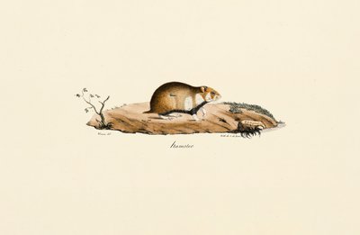 de Jacques Christophe Werner