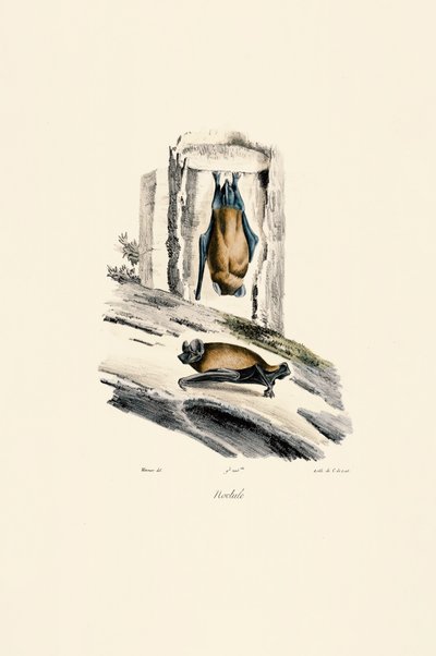  de Jacques Christophe Werner