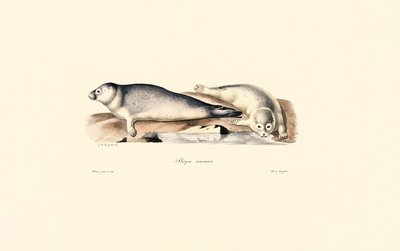  de Jacques Christophe Werner
