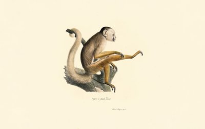  de Jacques Christophe Werner