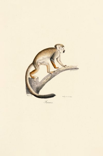  de Jacques Christophe Werner