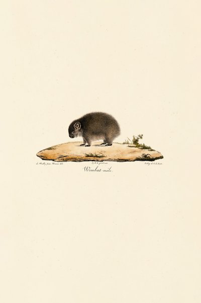  de Jacques Christophe Werner