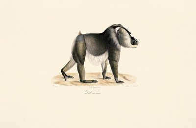  de Jacques Christophe Werner
