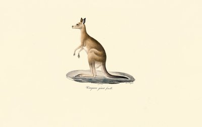  de Jacques Christophe Werner