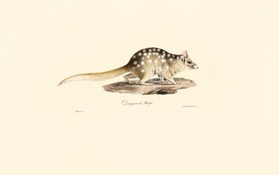  de Jacques Christophe Werner