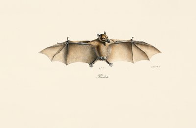  de Jacques Christophe Werner