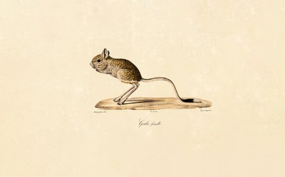  de Jacques Christophe Werner