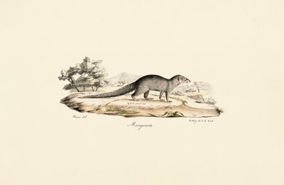  de Jacques Christophe Werner