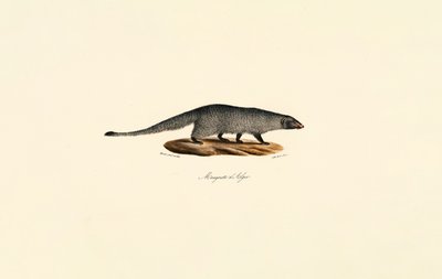 de Jacques Christophe Werner