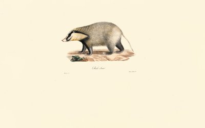  de Jacques Christophe Werner